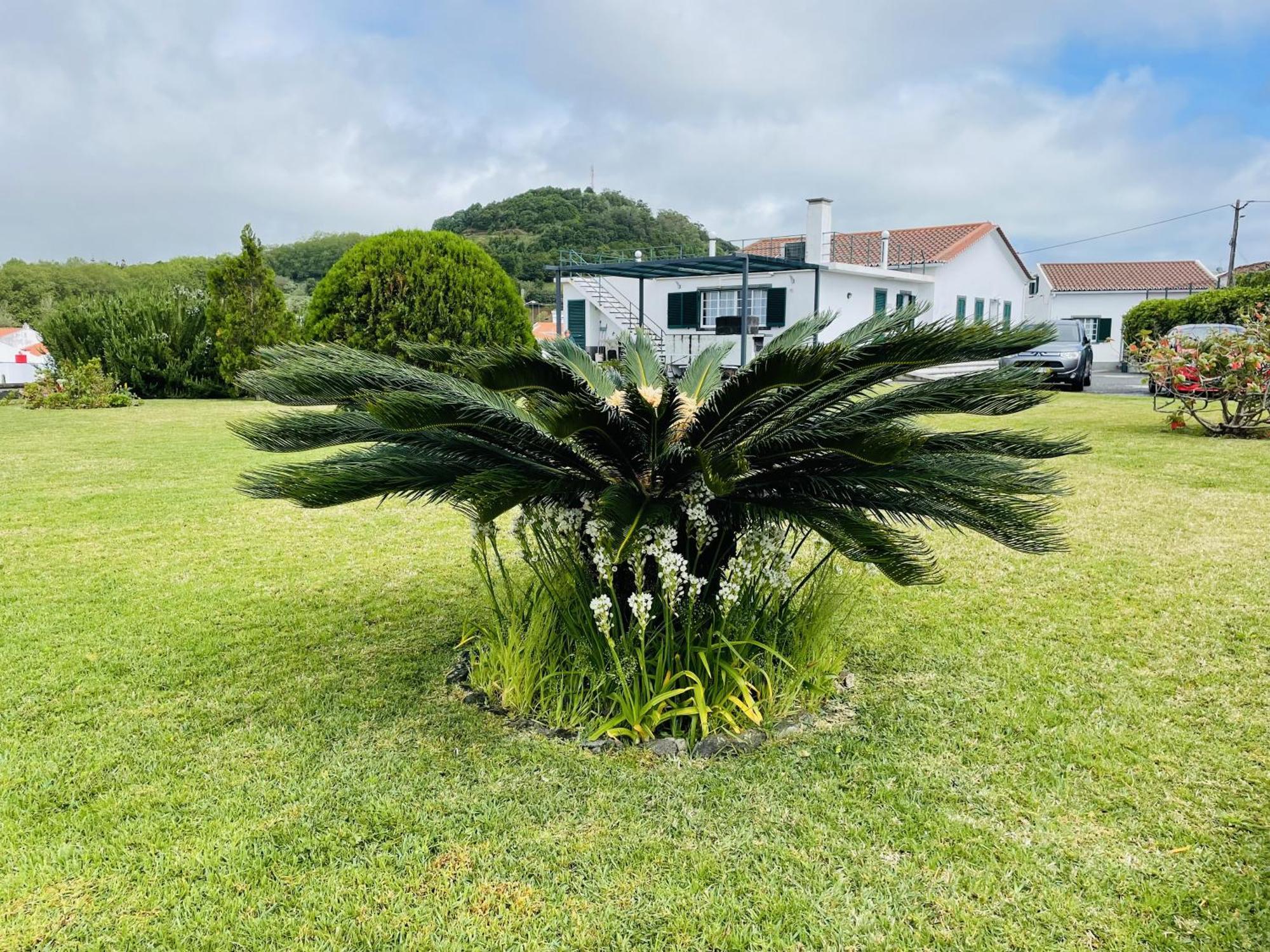 Casa Da Faja Villa Ponta Delgada Exteriör bild